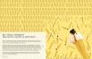 Manuel Weyer, Melanie Zanin: Giro Gelato