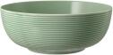 Seltmann Weiden Beat Foodbowl 20 cm, salbeigr&uuml;n