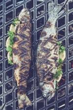 h&ouml;fats CONE Gussrost