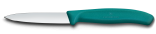 Victorinox Swiss Classic Gemüsemesser, Mittelspitz, 8 cm in grün