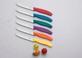 Victorinox Swiss Classic Tafelmesser Standard mit Wellenschliff, 11 cm, bunt, 6-teilig