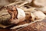 Brot - Das elementarste Lebensmittel der Welt