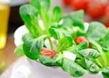 Salat - von der Sättigungsbeilage zum kulinarischen Hochgenuß