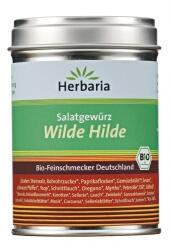 Herbaria Wilde Hilde, Salatgewürz