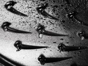 Staub Br&auml;ter mit Chistera Drop-Structure in kirschrot