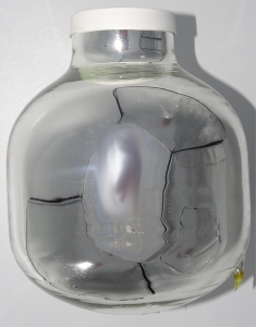 alfi Isolierglas mit Dichtungsring für Isolierkanne Amici