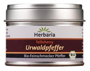 Herbaria Tellicherry Urwaldpfeffer