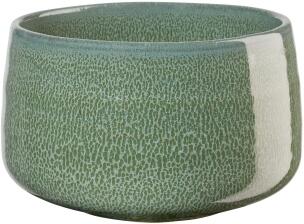 ASA Schale Moribana in matsu shiny