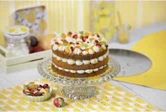 Kaiser Classic Tortenretter