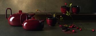 ASA Becher Kolibri in chestnut