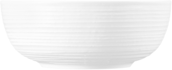 Seltmann Weiden Terra Foodbowl 20 cm