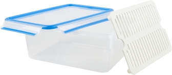 Emsa Frischhaltedose Clip & Close mit Abtropfgitter