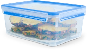 Emsa Frischhaltedose Clip & Close mit Abtropfgitter