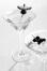 Leonardo Cocktailglas DAILY 270 ml, 6er-Set