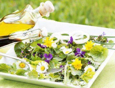 Salat I: Er grünt so grün in Beet und Küchengarten